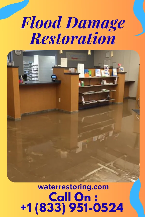 Flood Damage Restoration in Punta Gorda, FL