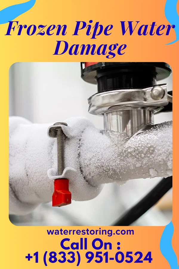 Frozen Pipe Water Damage in Punta Gorda, FL