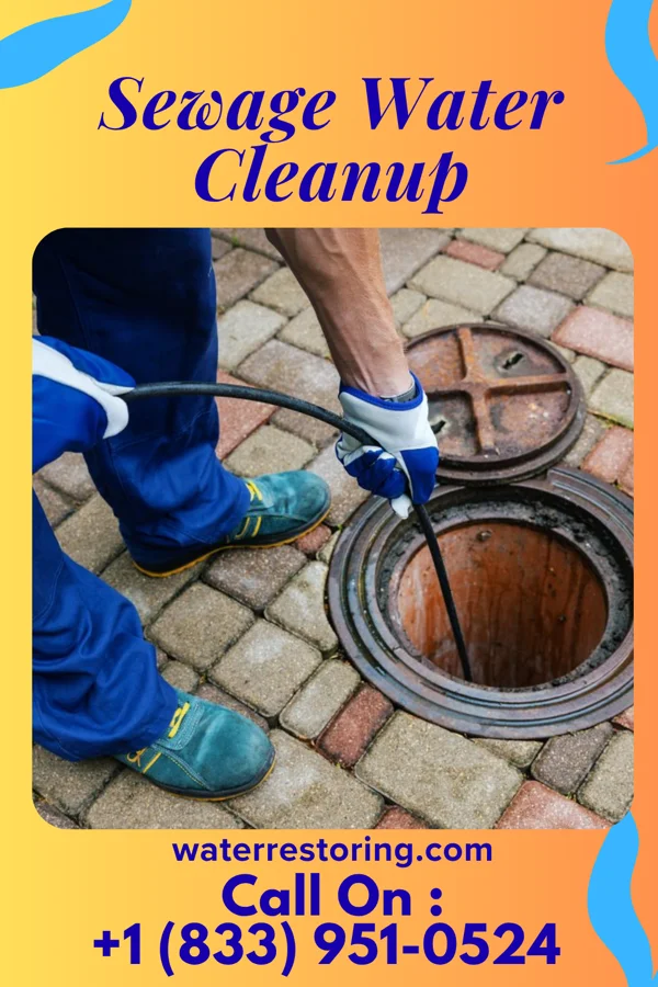 Sewage Water Cleanup in Punta Gorda, FL